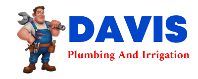 Trusted plumber in PEROTE